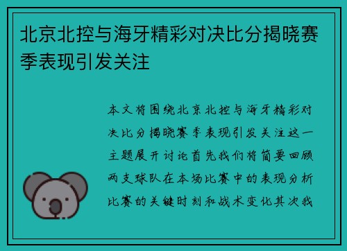 北京北控与海牙精彩对决比分揭晓赛季表现引发关注